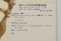 登錄號:S073982藏品圖，第2張