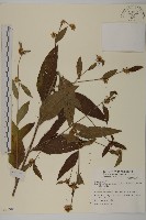 登錄號:S073985藏品圖，第1張