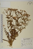 登錄號:S073986藏品圖，第1張