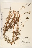 登錄號:S073987藏品圖，第1張