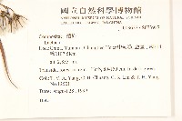 登錄號:S073987藏品圖，第2張