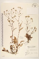 登錄號:S073988藏品圖，第1張