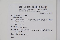 登錄號:S074005藏品圖，第2張