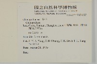 登錄號:S074007藏品圖，第2張