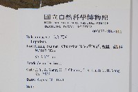 登錄號:S074008藏品圖，第2張