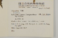 登錄號:S074022藏品圖，第2張