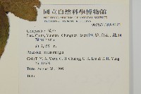 登錄號:S074024藏品圖，第2張