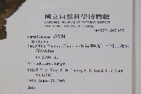 登錄號:S074032藏品圖，第2張