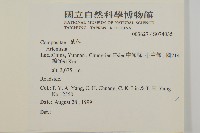 登錄號:S074035藏品圖，第2張