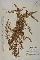 登錄號:S074063藏品圖，第1張