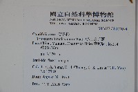 穿心蓮子藨藏品圖，第2張