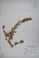 登錄號:S074077藏品圖，第1張