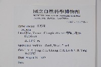 登錄號:S074077藏品圖，第2張