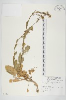 登錄號:S074082藏品圖，第1張