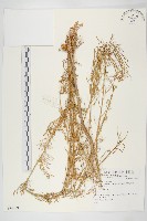 登錄號:S074089藏品圖，第1張