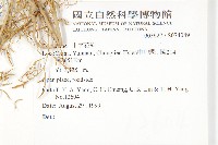 登錄號:S074089藏品圖，第2張