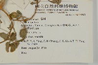 登錄號:S074093藏品圖，第2張