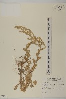 登錄號:S074096藏品圖，第1張