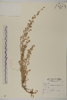 登錄號:S074097藏品圖，第1張