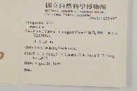 登錄號:S074097藏品圖，第2張