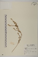 登錄號:S074098藏品圖，第1張