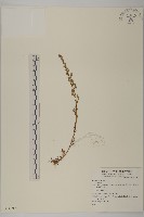 登錄號:S074099藏品圖，第1張