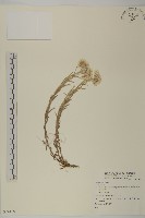 登錄號:S074100藏品圖，第1張