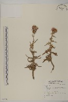 登錄號:S074102藏品圖，第1張