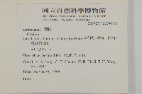 登錄號:S074102藏品圖，第2張