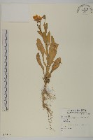 登錄號:S074103藏品圖，第1張