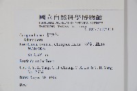 登錄號:S074121藏品圖，第2張