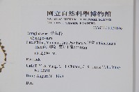 登錄號:S074146藏品圖，第2張