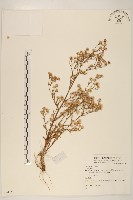 登錄號:S074150藏品圖，第1張