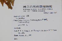 登錄號:S074167藏品圖，第2張