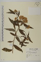 登錄號:S074181藏品圖，第1張