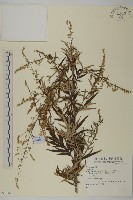 登錄號:S074187藏品圖，第1張