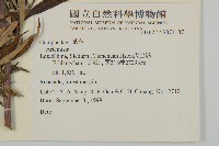 登錄號:S074187藏品圖，第2張