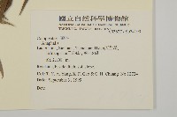 登錄號:S074199藏品圖，第2張