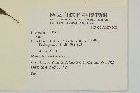 登錄號:S074200藏品圖，第2張