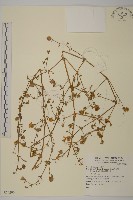 登錄號:S074206藏品圖，第1張