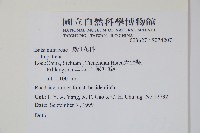 登錄號:S074207藏品圖，第2張