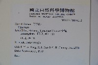 登錄號:S074212藏品圖，第2張