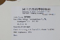 登錄號:S074217藏品圖，第2張