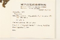 登錄號:S074261藏品圖，第2張