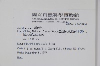 登錄號:S074268藏品圖，第2張