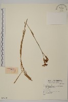 登錄號:S074278藏品圖，第1張