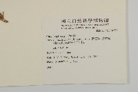 登錄號:S074278藏品圖，第2張