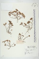 登錄號:S074286藏品圖，第1張