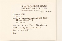 登錄號:S074287藏品圖，第2張