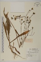 登錄號:S074289藏品圖，第1張